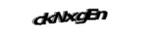 Security check image, please type the characters shown